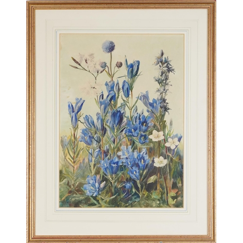 2633 - Lucia Lang - Botanical study, 20th century continental school watercolour on paper, signed, framed, ... 