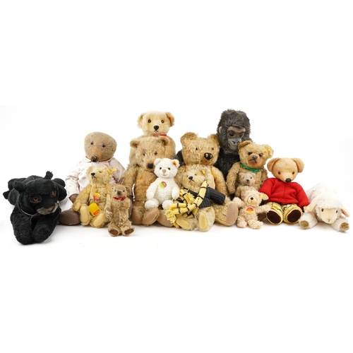 557 - A collection of predominantly Steiff mohair teddy bears, early 20th century and later examples, toge... 