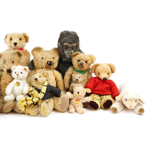 557 - A collection of predominantly Steiff mohair teddy bears, early 20th century and later examples, toge... 