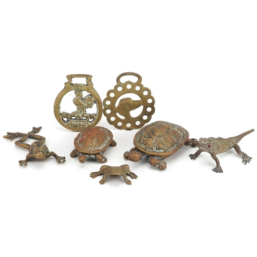 1227 - A small collection of novelty brassware items including two tortoises, a lizard, two frogs and two h... 