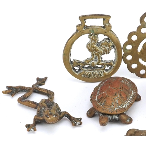 1227 - A small collection of novelty brassware items including two tortoises, a lizard, two frogs and two h... 