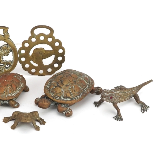 1227 - A small collection of novelty brassware items including two tortoises, a lizard, two frogs and two h... 