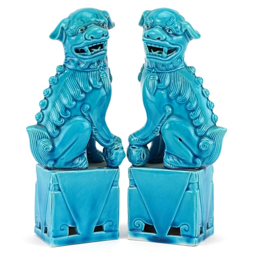 372 - A pair of Chinese turquoise glazed porcelain Foo dogs, mid 20th century, 20cm high.