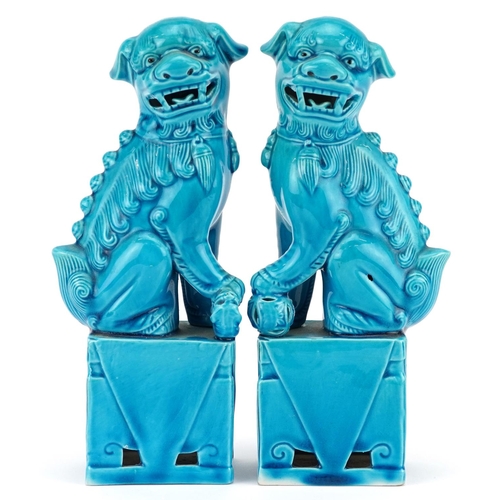 372 - A pair of Chinese turquoise glazed porcelain Foo dogs, mid 20th century, 20cm high.