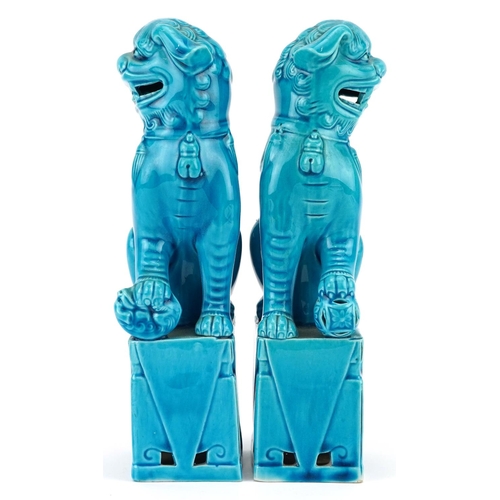 372 - A pair of Chinese turquoise glazed porcelain Foo dogs, mid 20th century, 20cm high.