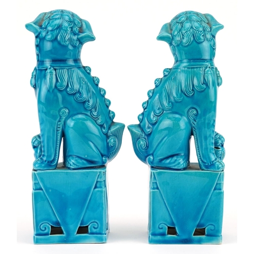 372 - A pair of Chinese turquoise glazed porcelain Foo dogs, mid 20th century, 20cm high.