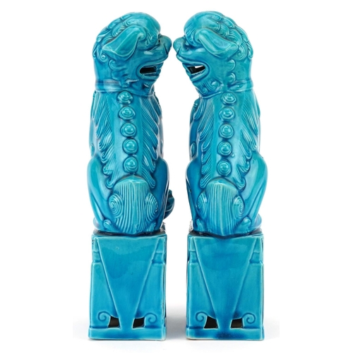 372 - A pair of Chinese turquoise glazed porcelain Foo dogs, mid 20th century, 20cm high.