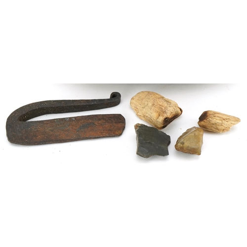 1143 - A nut form flint strike box, 18th/19th century, the two part nut opening to reveal a wrought steel, ... 