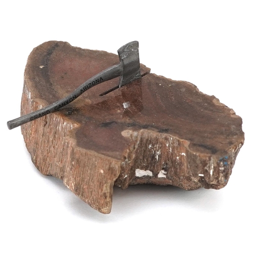 379 - A petrified log souvenir from the Grand Canyon, Arizona, circa 1920, the section of petrified tree w... 