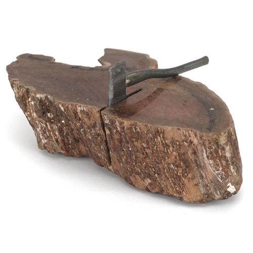 379 - A petrified log souvenir from the Grand Canyon, Arizona, circa 1920, the section of petrified tree w... 