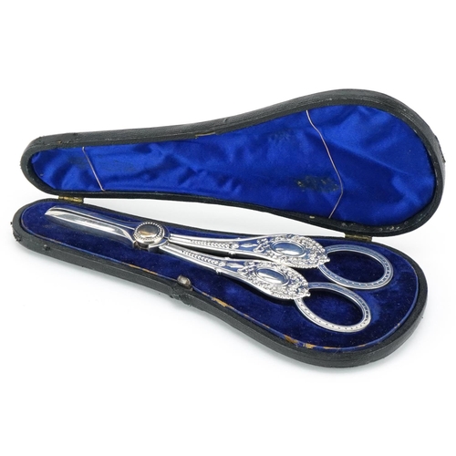 556 - A pair of Victorian silver plated grape scissors housed in a velvet and silk lined fitted case, 17cm... 