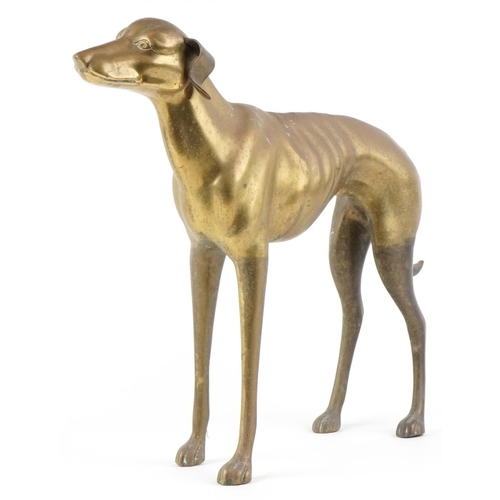 1157 - A large brass study of a standing Greyhound, 56cm high.