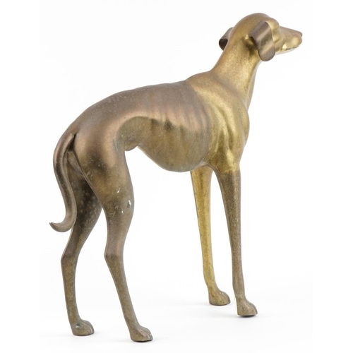 1157 - A large brass study of a standing Greyhound, 56cm high.