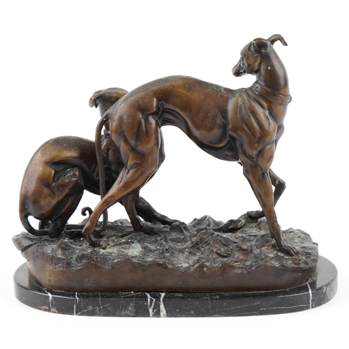 3 - A 20th century bronzed study of two Greyhounds raised on a black marble base, 33cm in length.