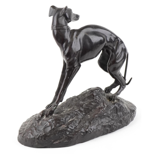  A large bronze study of a Greyhound standing on rocks, bearing an indistinct signature, 30cm in leng... 