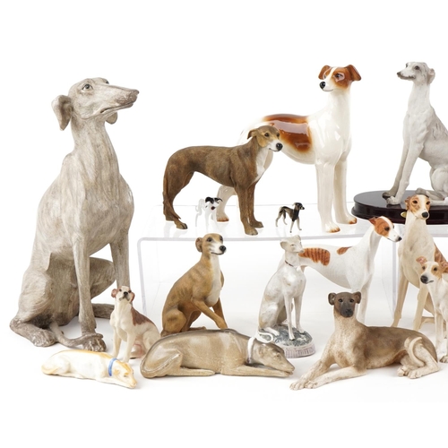 1138 - A collection of porcelain, pottery and resin models of Greyhounds, the largest 30cm in length.