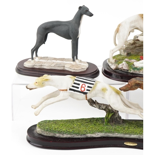 1152 - Three decorative resin sculptures of Greyhounds including a Juliana Collection, the largest 50cm wid... 