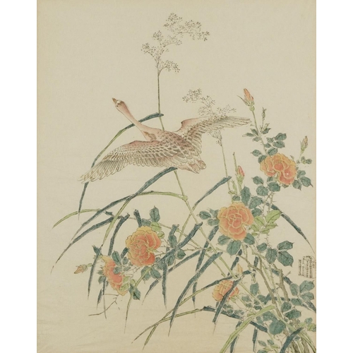 350 - A Mallard and Roses, 20th century Chinese School, coloured engraving, baring signature, framed, 66cm... 