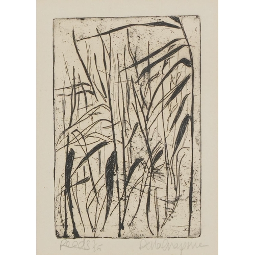 1507 - Della Chapman - Reeds, etching, signed and titled in pencil in the margin 7/25, framed 32.5 x 25cm.