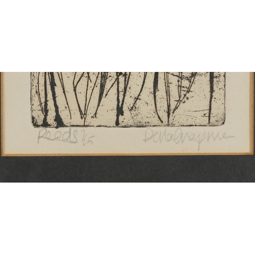 1507 - Della Chapman - Reeds, etching, signed and titled in pencil in the margin 7/25, framed 32.5 x 25cm.