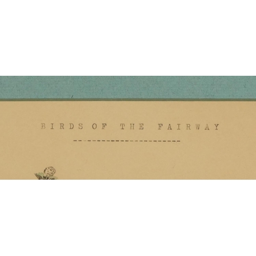 1432 - Birds of the Fairway, 20th Century British School, watercolour, inscribed by typewriter 'Empty Heade... 