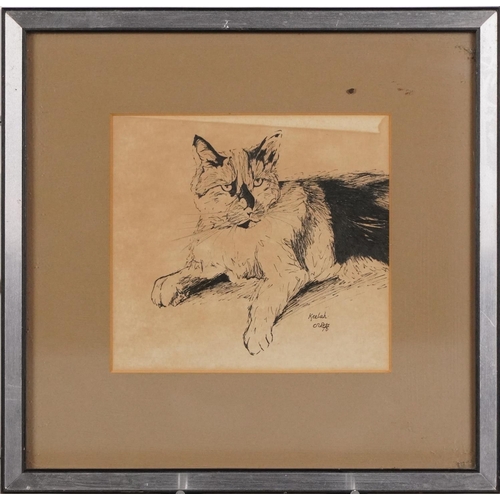 1502 - Keelah - portrait of a cat, 20th century British school pen and ink on paper, indistinctly signed an... 