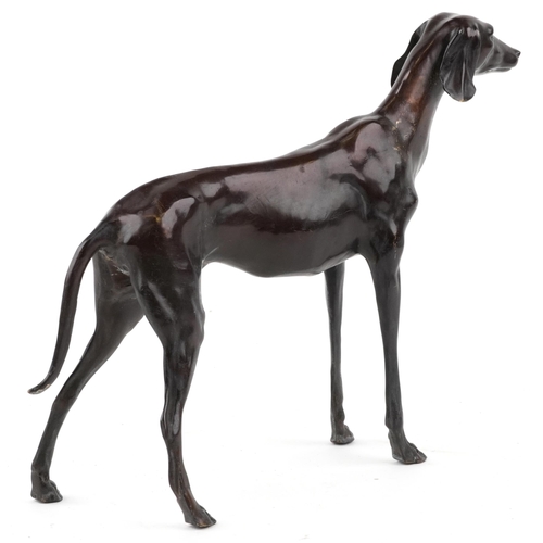 2 - A modern patinated bronze study of a Greyhound, 39cm in length.