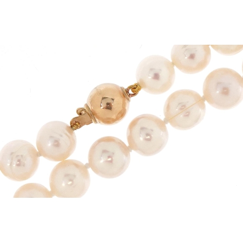 3443 - A cultured pearl necklace with a 9ct gold clasp, each pearl 7.6mm in diameter, 45.5cm in length, 33.... 