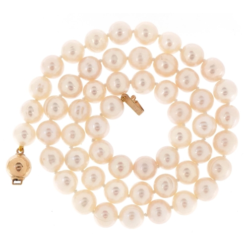 3443 - A cultured pearl necklace with a 9ct gold clasp, each pearl 7.6mm in diameter, 45.5cm in length, 33.... 