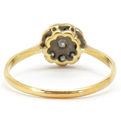 3211 - An 18ct gold and platinum diamond flower head ring, size U, 2.5g.