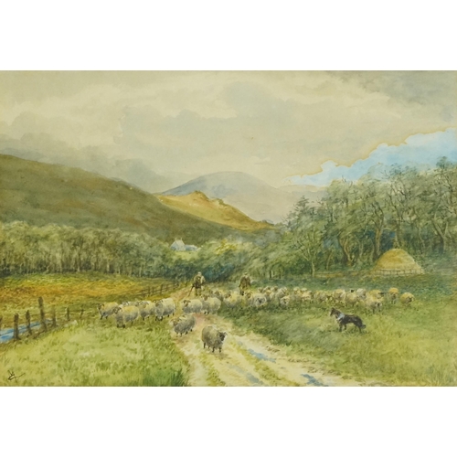 1427 - Langleeford Valley and Cheviot, 20th century British school watercolour on paper, initialled, framed... 