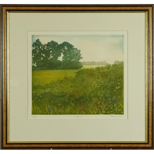 Helen Hanson - Reeds & Rain and Hedgerows, two signed and editioned ...