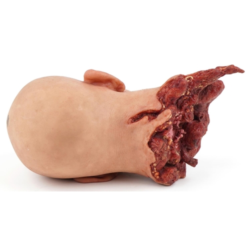  A life-like latex decapitated head, 30cm high.