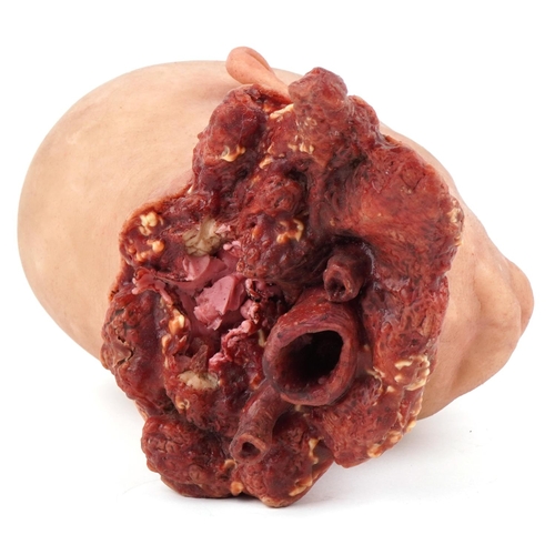  A life-like latex decapitated head, 30cm high.