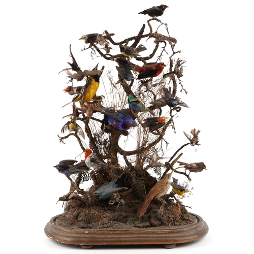 208 - A good Victorian taxidermy specimen group of birds within a naturalistic setting raised on an oval p... 