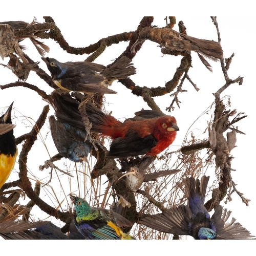 208 - A good Victorian taxidermy specimen group of birds within a naturalistic setting raised on an oval p... 