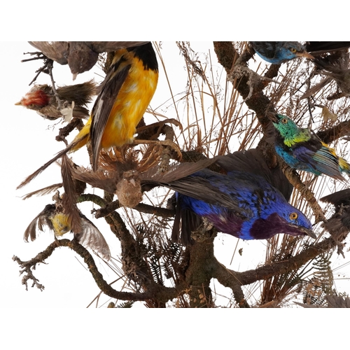 208 - A good Victorian taxidermy specimen group of birds within a naturalistic setting raised on an oval p... 