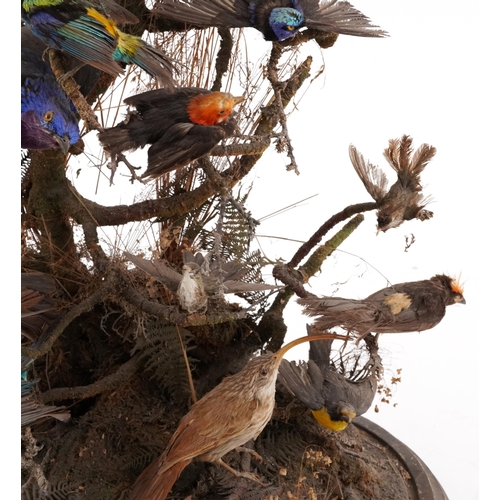 208 - A good Victorian taxidermy specimen group of birds within a naturalistic setting raised on an oval p... 