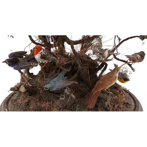 208 - A good Victorian taxidermy specimen group of birds within a naturalistic setting raised on an oval p... 