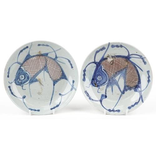 113 - Two Chinese porcelain shallow bowls hand painted in blue and white with fish, the largest 23cm in di... 