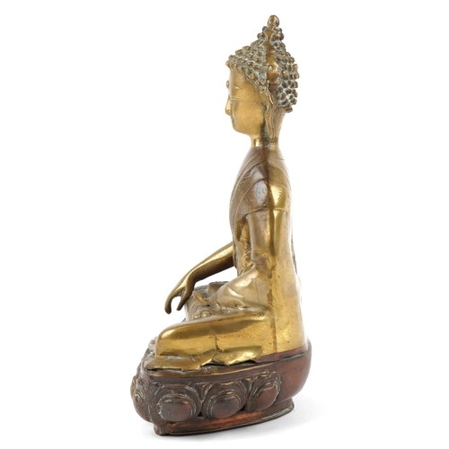 40 - A Sino-Tibetan gilt bronze figure of Shakyamuni Buddha, 37cm high.