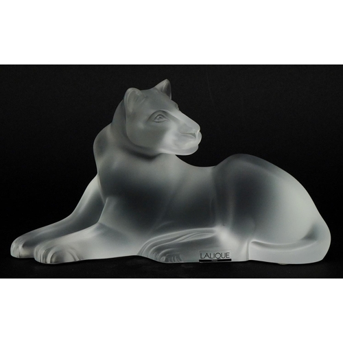 174 - Lalique, a frosted glass study of a recumbent lioness, etched Lalique France to the base, 24cm in le... 