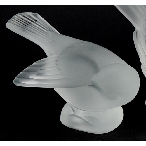 177 - Lalique, a set of three frosted glass birds, each etched Lalique France to the base, the largest 13c... 