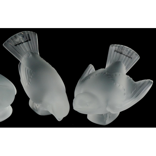 177 - Lalique, a set of three frosted glass birds, each etched Lalique France to the base, the largest 13c... 