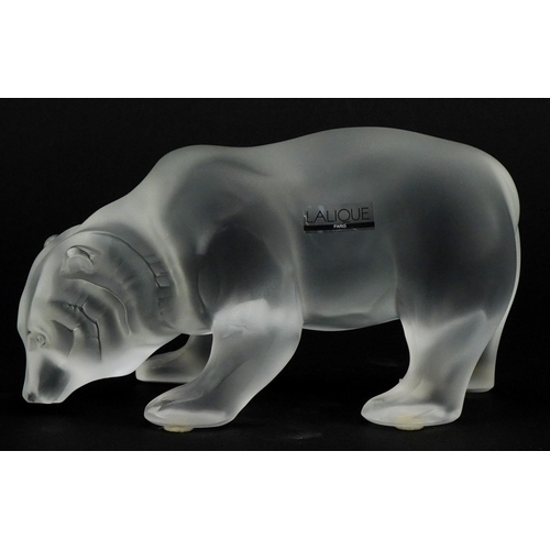 172 - Lalique, a frosted glass study of a bear, etched Lalique France to the base, 17cm in length.