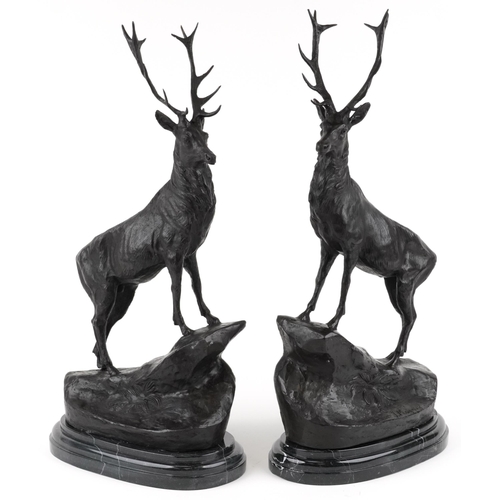 481 - After Jules Moigniez, a large pair of patinated bronze stags, each raised on a stepped black marble ... 