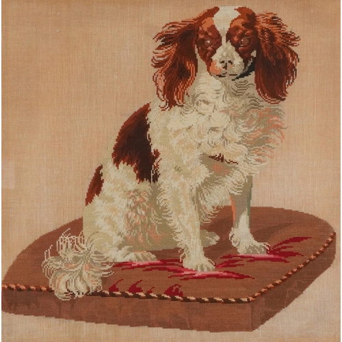 351 - A Victorian woolwork panel of a Spaniel, within a contemporary frame, 60cm x 60cm.