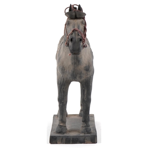 536 - A large Chinese Tang style pottery horse, 33cm high.