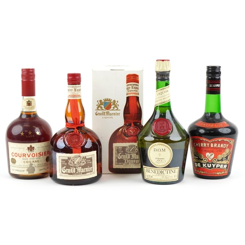 Lot 488       