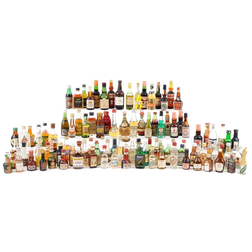 Lot 496       